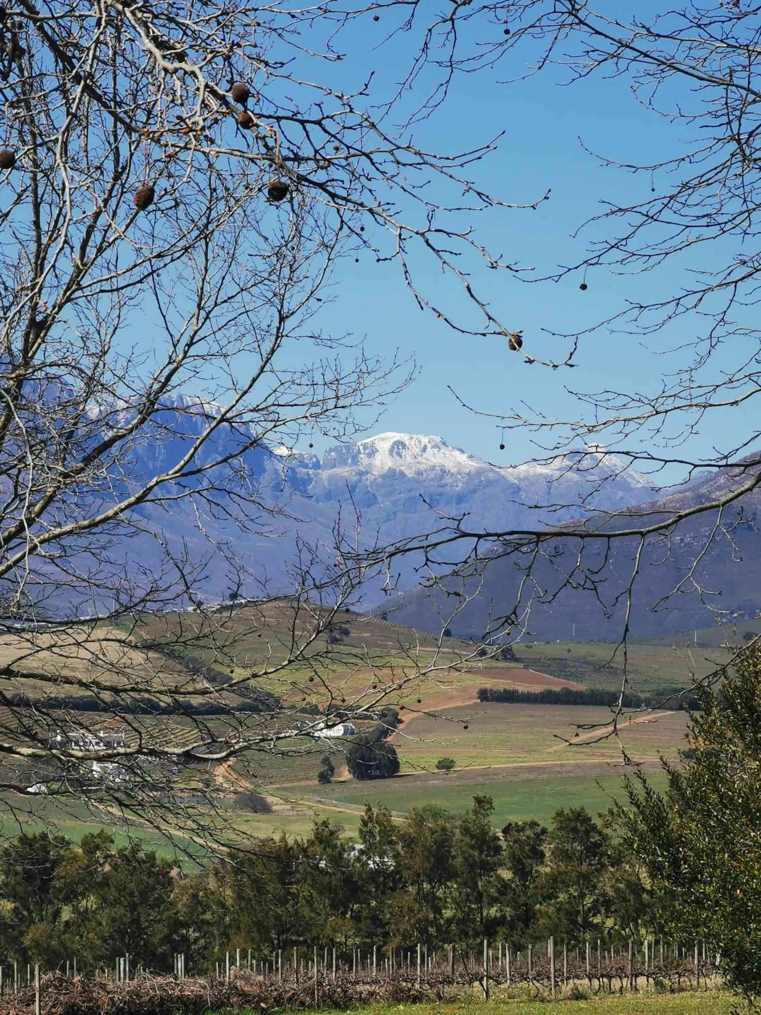Villa Gemoedsrus Farm Municipalità locale di Municipalità locale di Stellenbosch Esterno foto